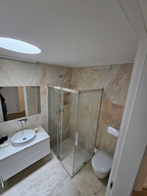 Shower, hair dryer, bidet, towels