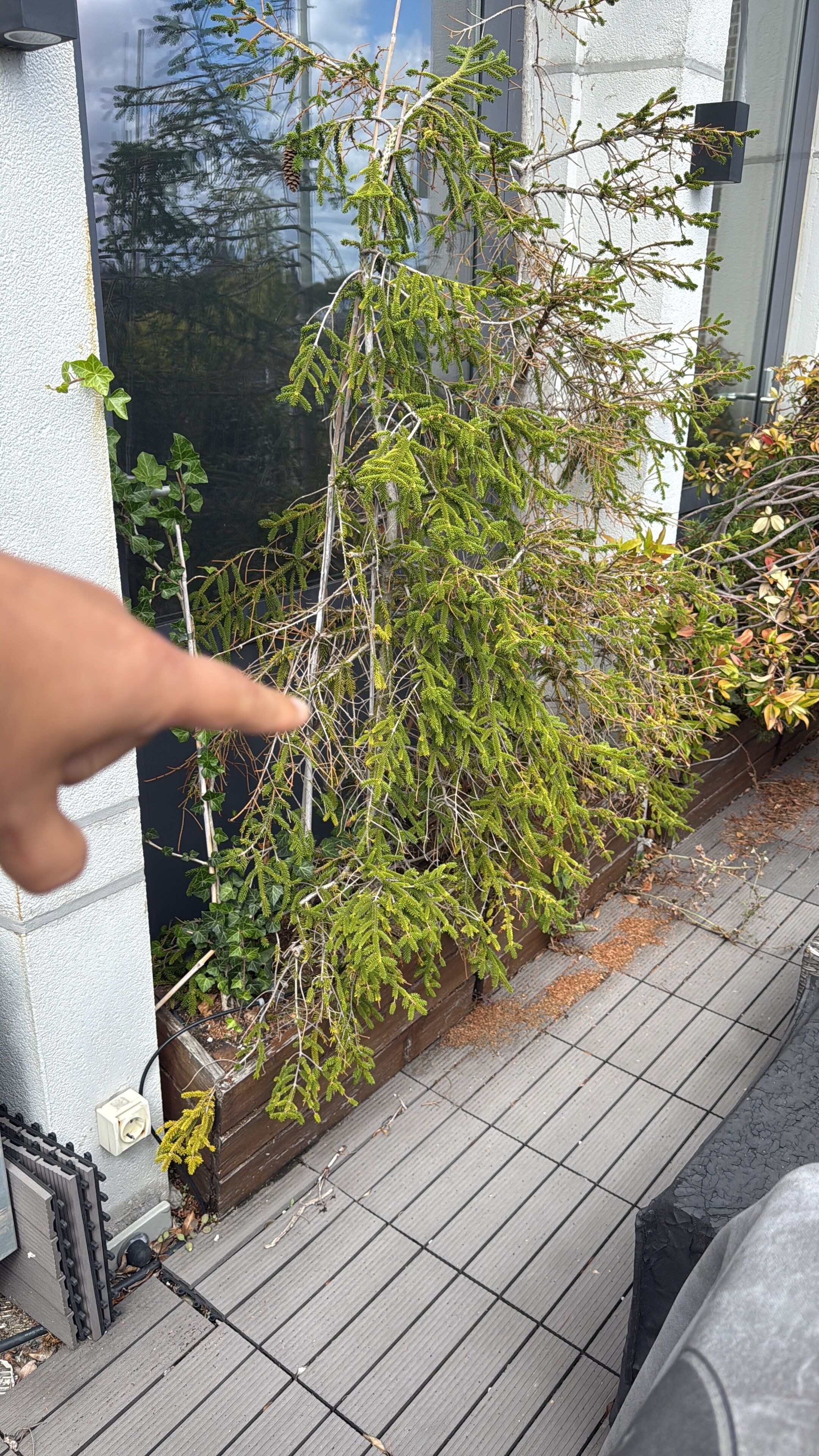 Détail de l’extérieur