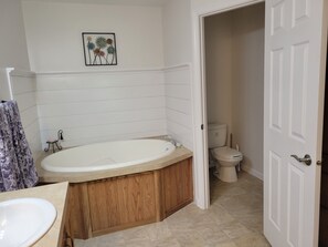 Towels, soap, toilet paper - 5-bedroom house with fitness room in Kalkaska. Perfect locationfor every season (Kalkaska)