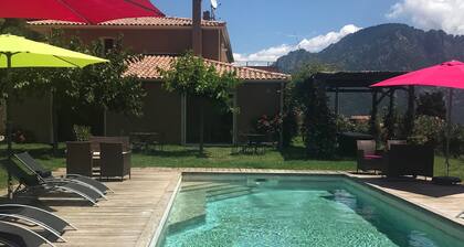 DOMAINE U BUGNU