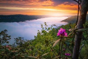 Miscellaneous - Rich Creek Wilderness Cabin: Near NRG, Game Room, Fire Pit, STARLINK, ATV Trails (Ansted)