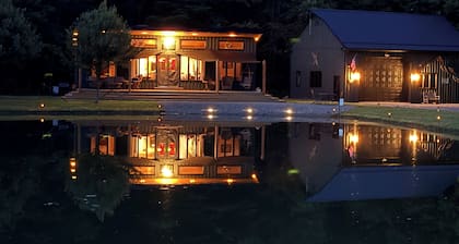 Lone Birch Cabin in Dansville NY