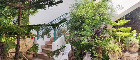 Terrein van de accommodatie