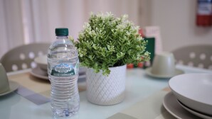 Een tafel met een waterfles, een plant in pot en borden.