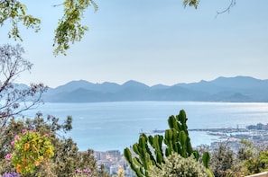 Vista da propriedade