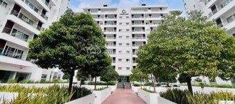 In the heart of the city