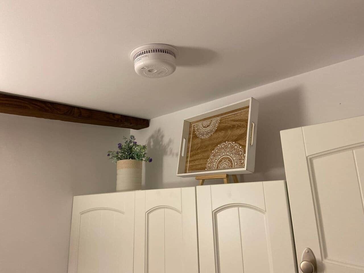 A room with white doors, a ceiling-mounted smoke detector, and a small potted plant on a cabinet.