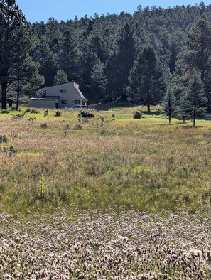 Property grounds - Bright and cozy home near Angel Fire ski base, sleeps 8 (Angel Fire)