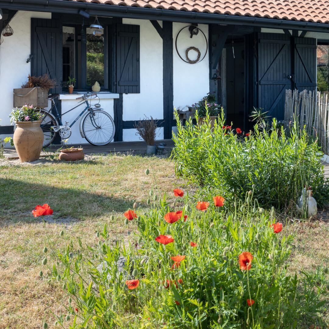 A house with a tiled roof, a bicycle parked outside, and a garden with red flowers.