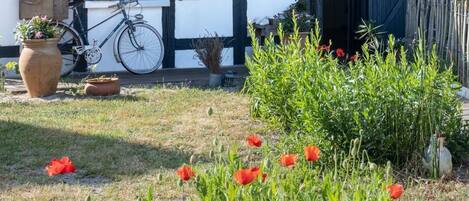 A house with a tiled roof, a bicycle parked outside, and a garden with red flowers.