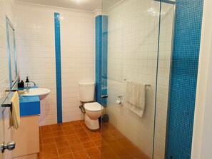 Shower, hair dryer, towels, soap