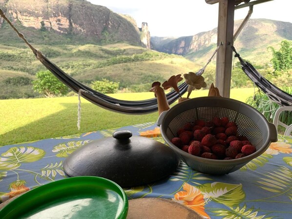 A hammock, a colander with strawberries, a pot, and a table with a floral tablecloth.