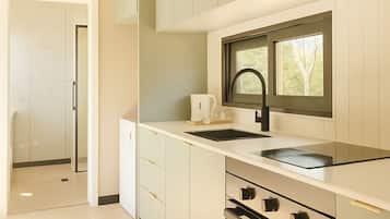 Comfort Studio Suite, 1 Queen Bed | Private kitchen