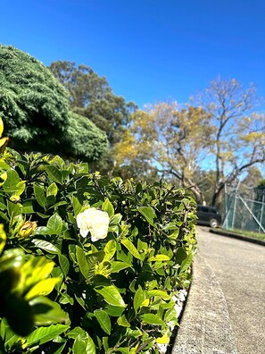 Exterior - Jolly Knight Motel (Casula)