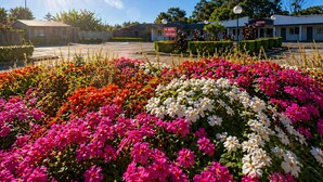 Een motel met een receptie, omringd door diverse kleurrijke bloemen.