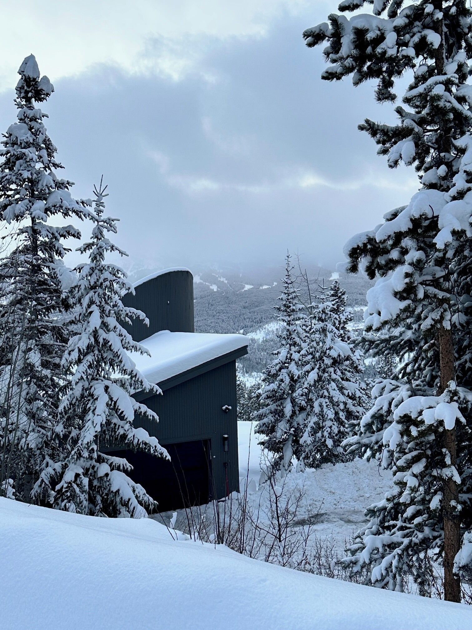 A snow-covered landscape with a building partially obscured by trees.