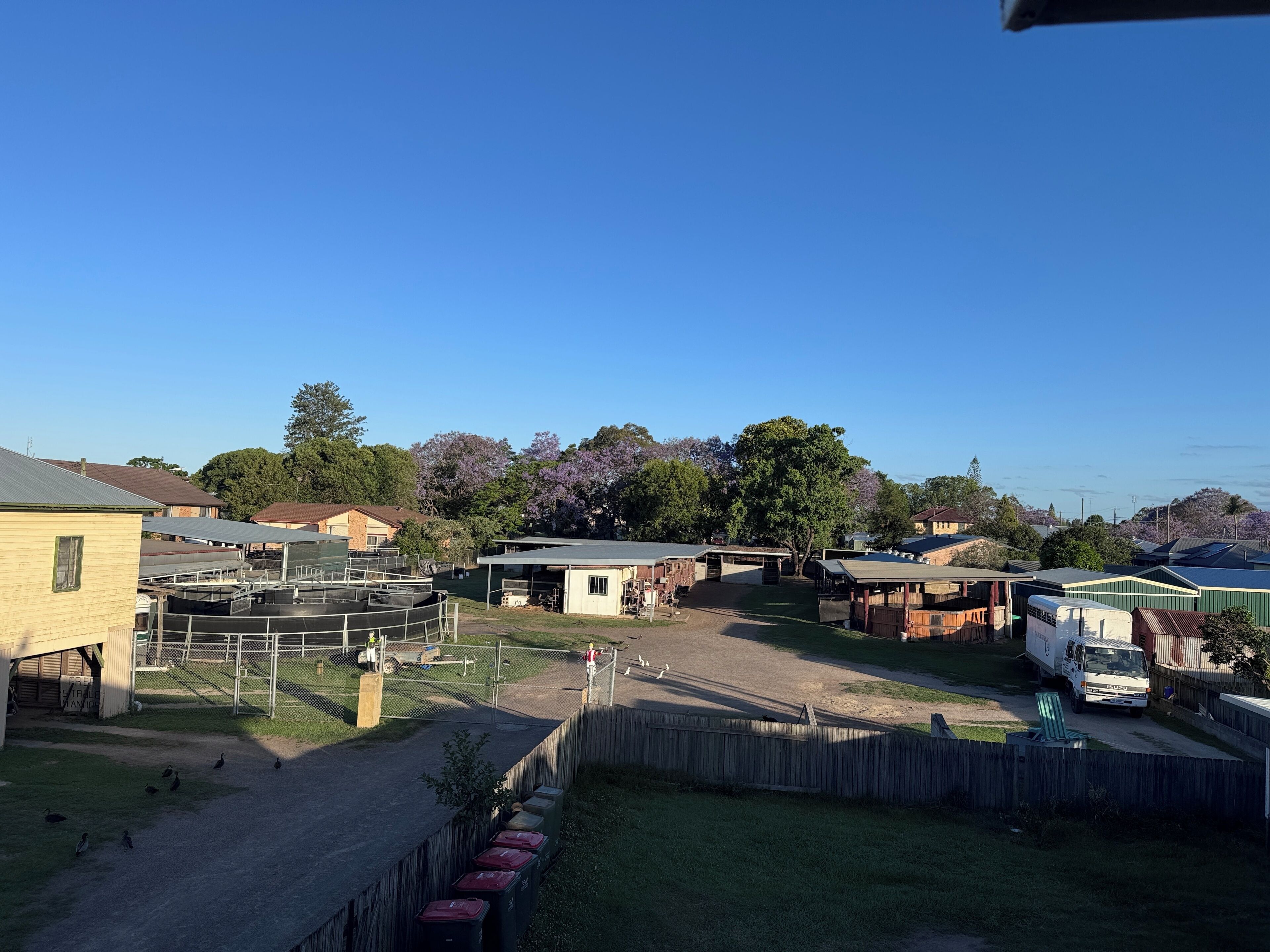 A fenced outdoor area with various buildings, a truck, and a few birds.