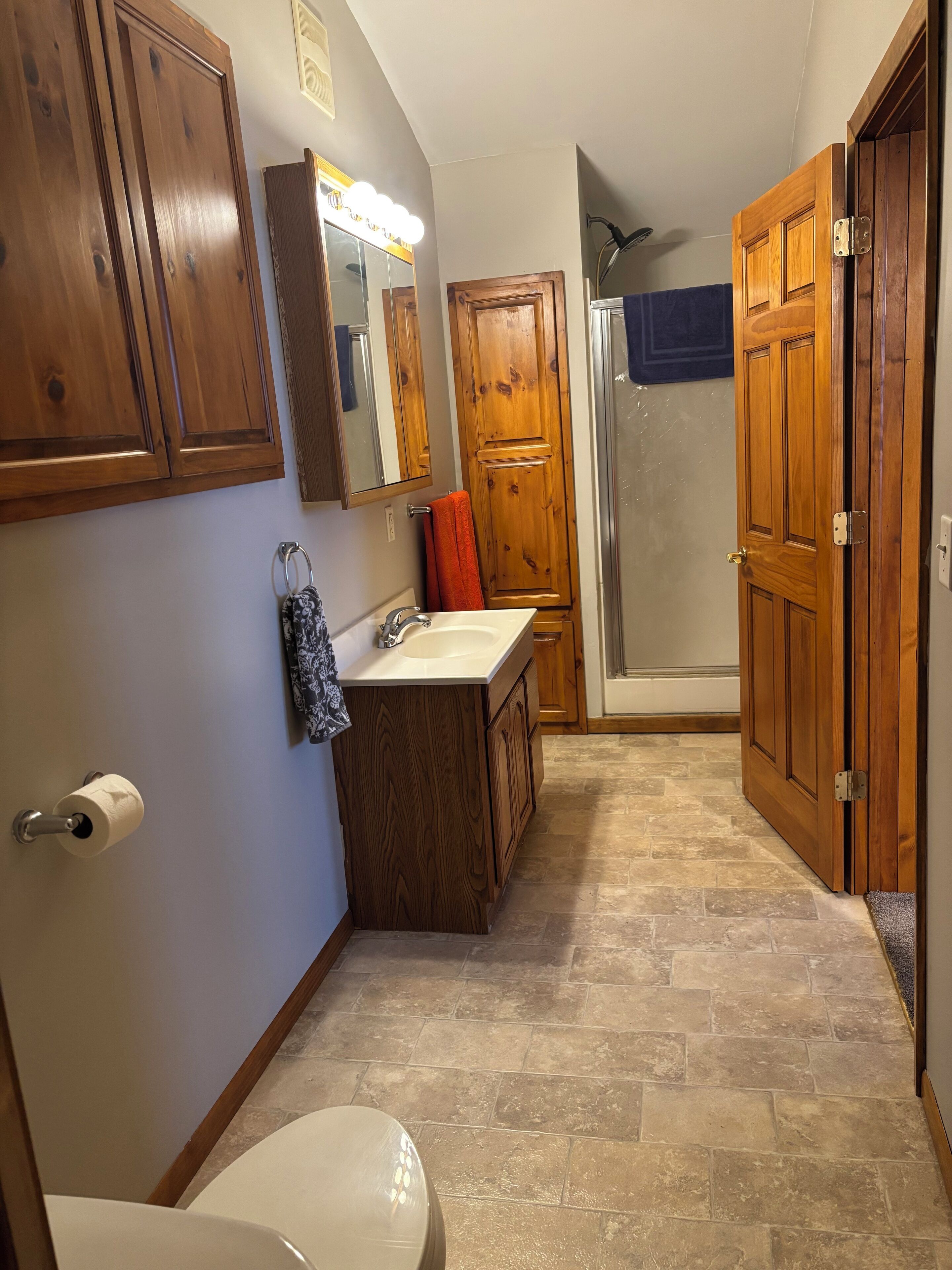 Hair dryer, towels, soap, toilet paper