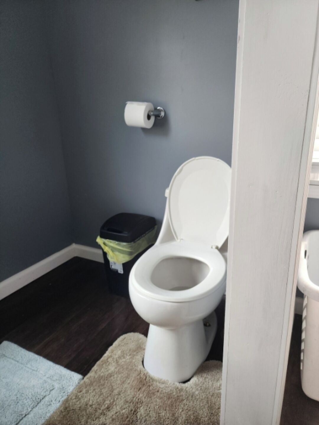 A bathroom with a toilet, a trash bin, and a roll of toilet paper on the wall.