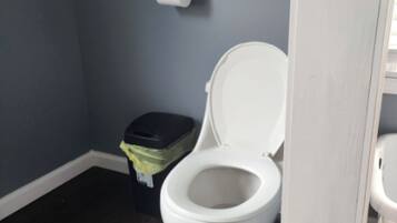 A bathroom with a toilet, a trash bin, and a roll of toilet paper on the wall.