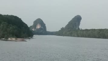Ngoại thất