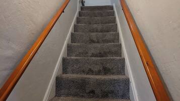 A carpeted staircase with wooden handrails and white walls.