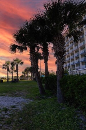 A hotel with a view of palm trees and a sunset.