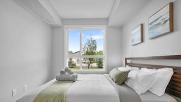 2 bedrooms, desk, iron/ironing board, travel cot