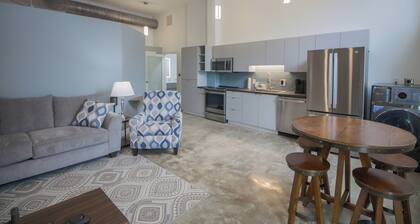 Newly renovated chic apartment within steps of Birmingham’s best attractions