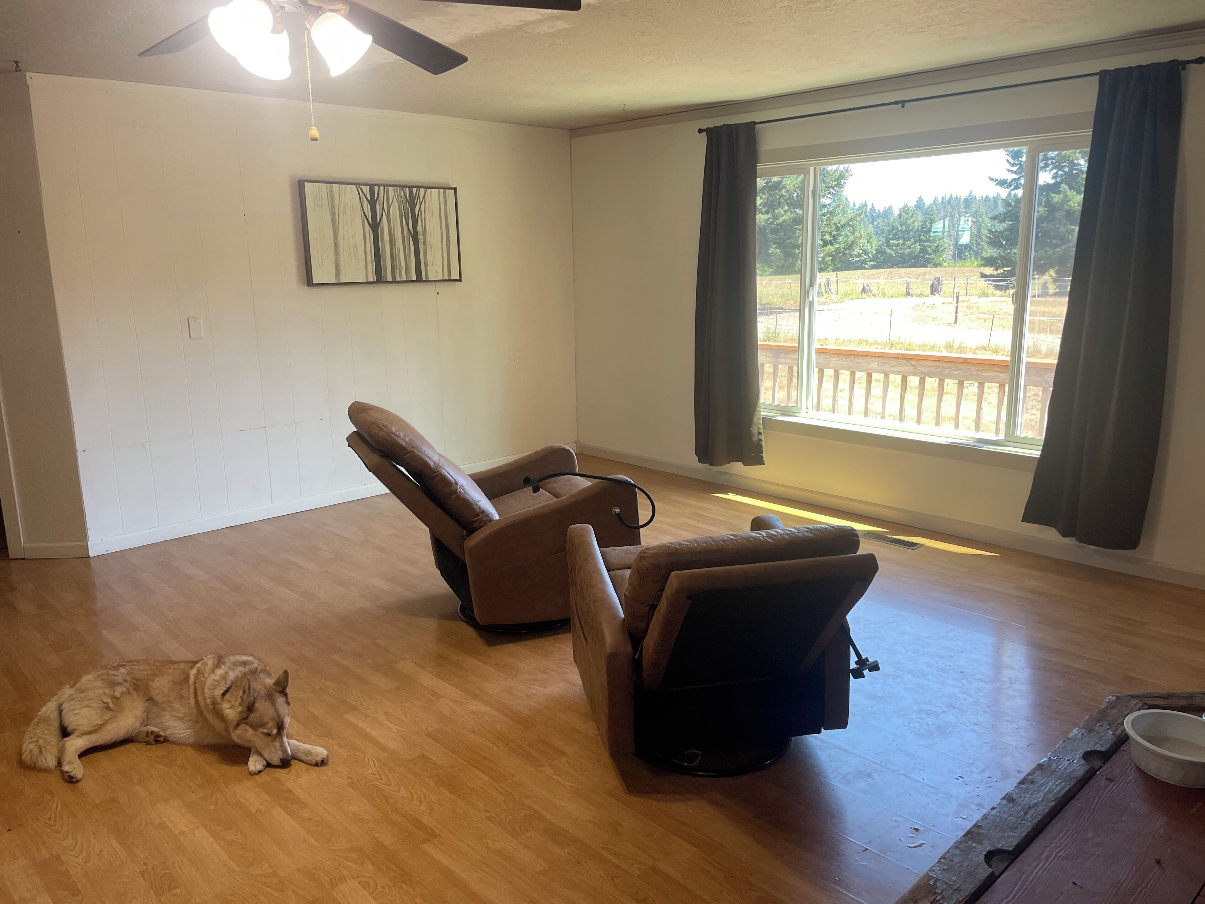 TV, computer monitors, printers