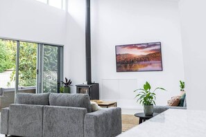 Smart TV, fireplace