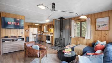 Smart TV, fireplace, books, music library