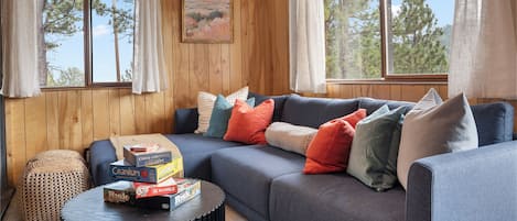 Smart TV, fireplace, books, music library