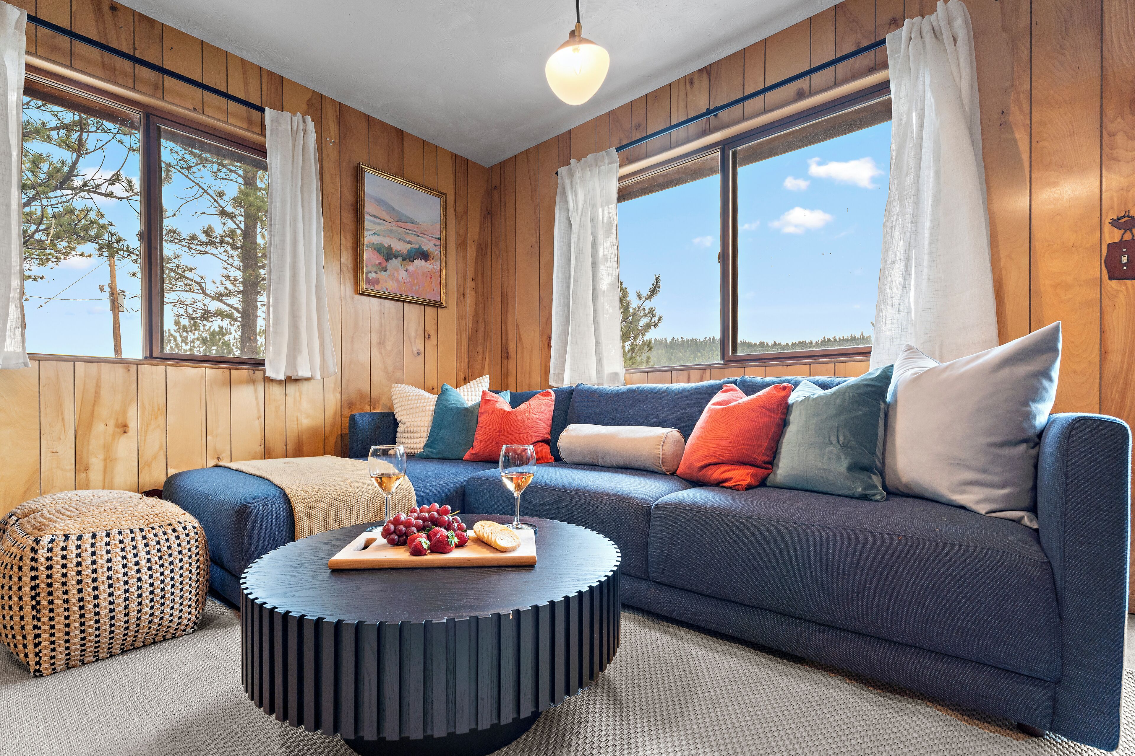 Smart TV, fireplace, books, music library