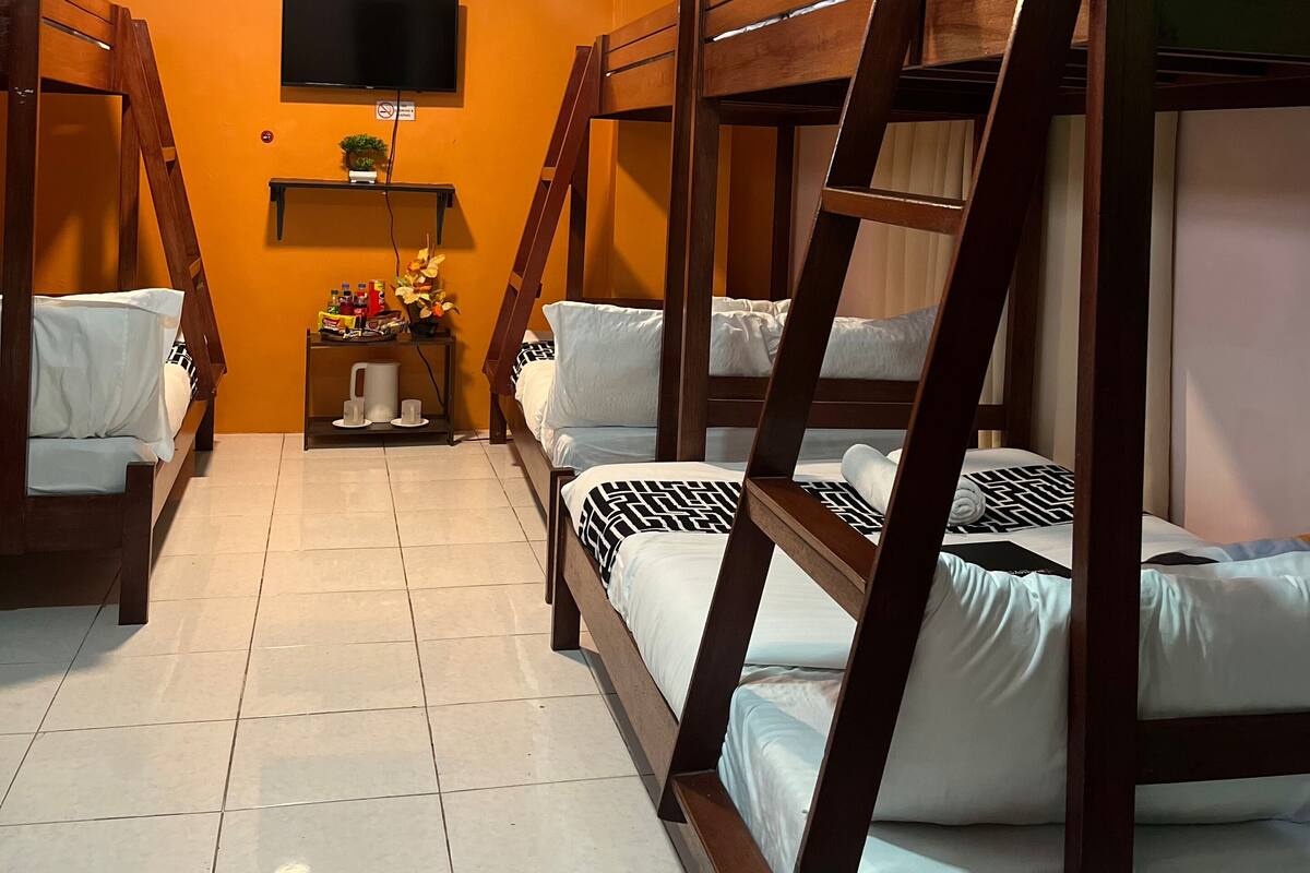Une chambre avec des lits superposés, un téléviseur à écran plat fixé au mur et une petite table agrémentée d’une plante et d’une bouilloire.