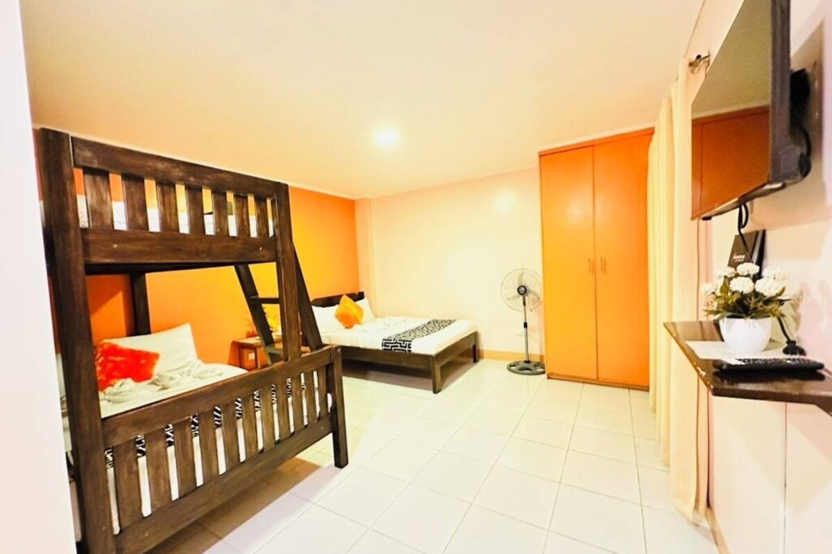 Une chambre avec un lit superposé, un bureau avec une plante, une télévision et une armoire.
