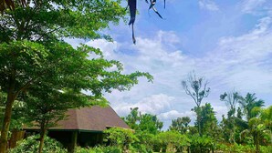 A tropical garden with a house, lush greenery, and a clear sky. - The Bali Farm (Liliw)