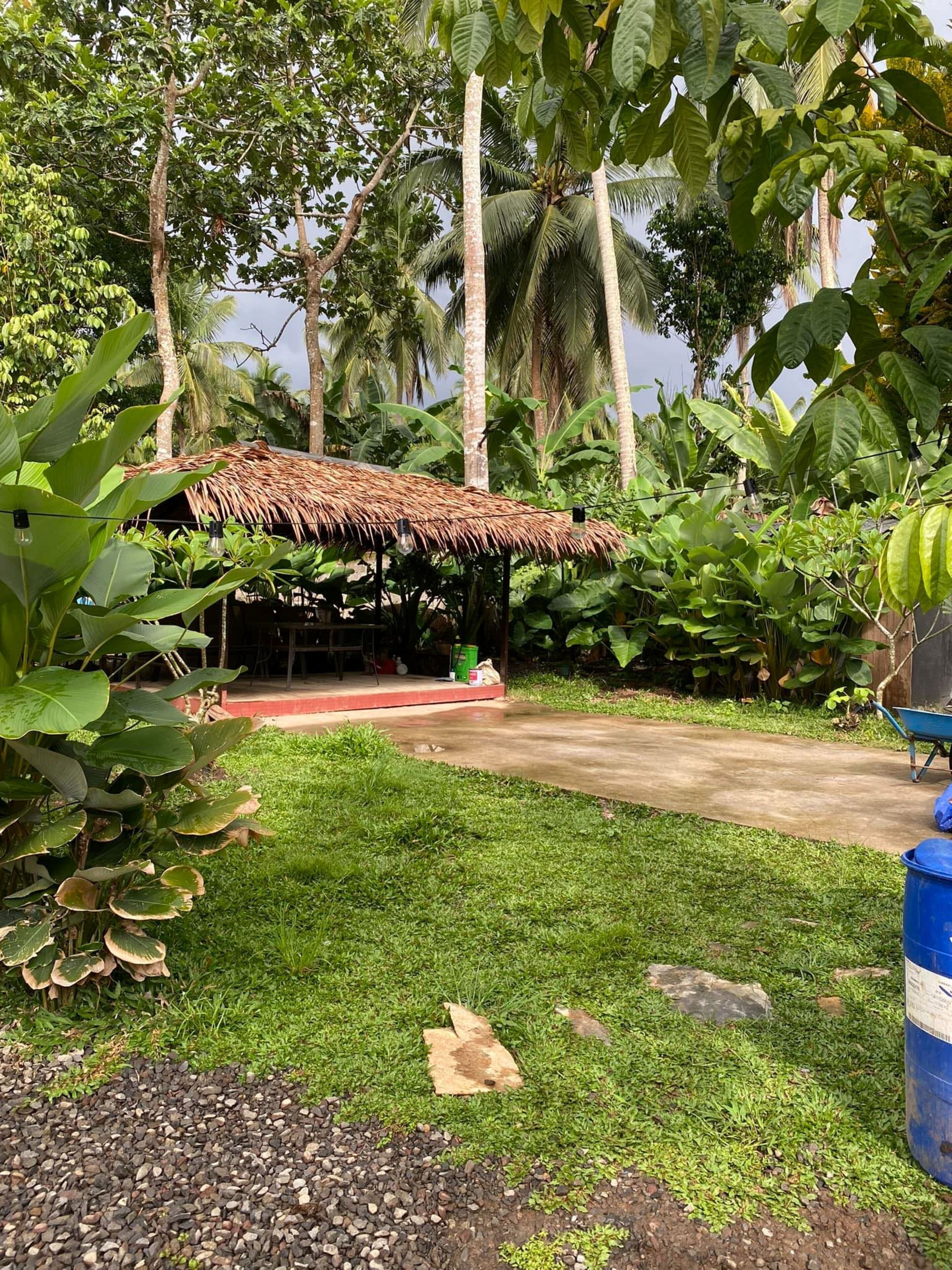A thatched-roof structure with a concrete platform, surrounded by lush greenery and palm trees.