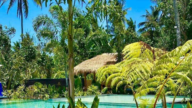 A swimming pool surrounded by tropical vegetation and a thatched-roof structure. - The Bali Farm (Liliw)
