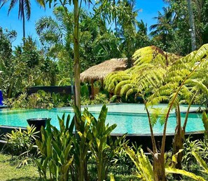 Une piscine entourée d’une végétation tropicale et bordée d’une structure à toit de chaume.
