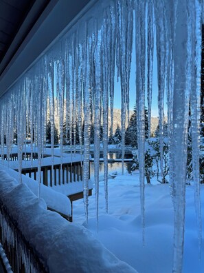 Property grounds - Simply Lake Samish Solitude – Lakefront 2 BR / 2.5BA (Bellingham)