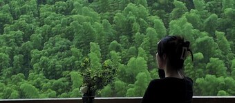 Jiangjun'ge Manor