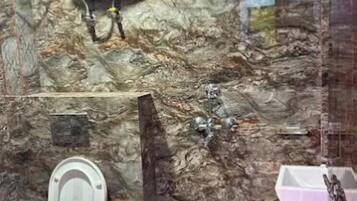 Premium Room | Bathroom | Shower, free toiletries, bathrobes, bidet