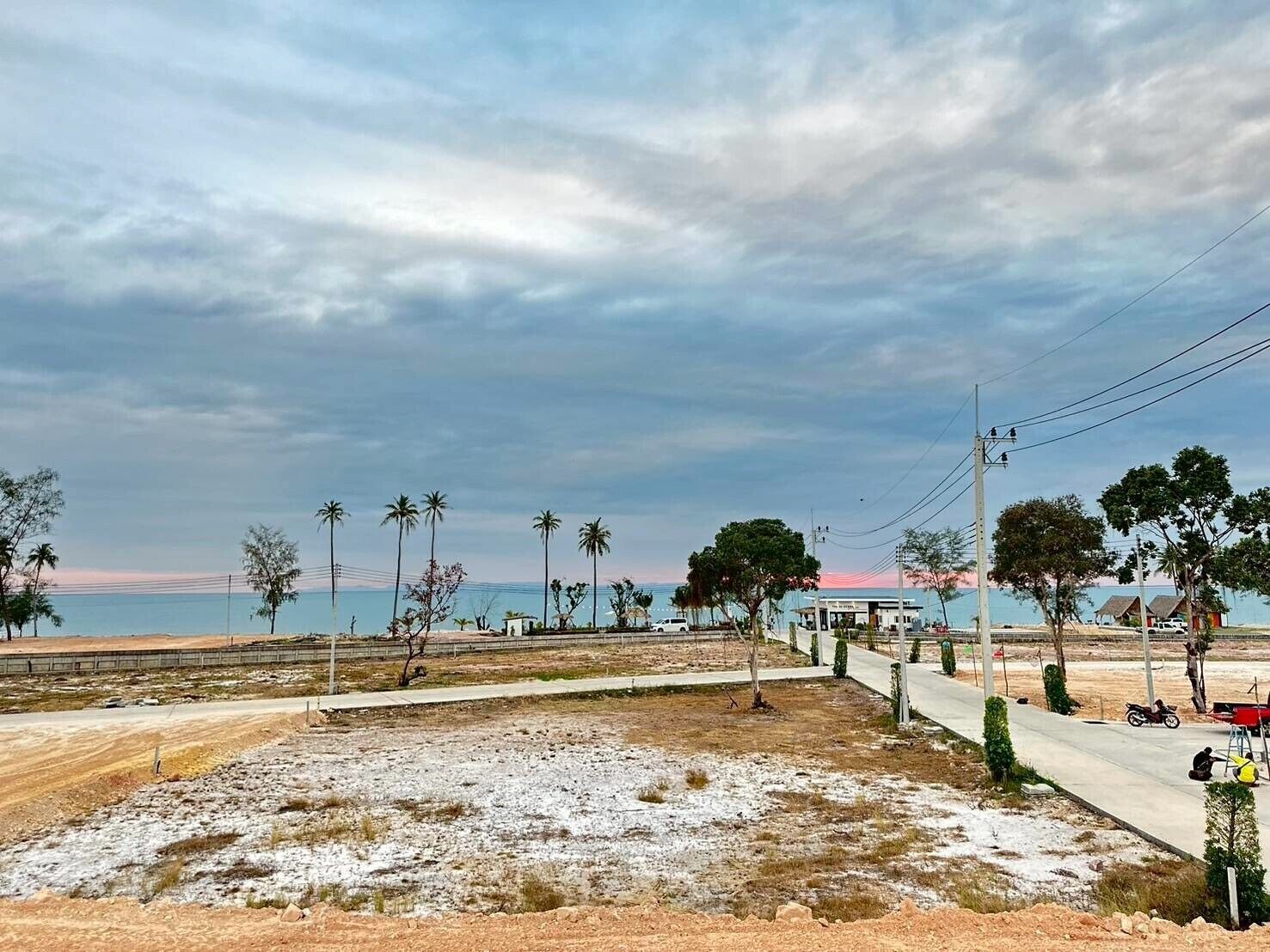 A coastal area with a paved road, palm trees, and a view of the sea.