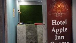 La entrada al área de recepción del Hotel Apple Inn, con un mostrador de recepción y una pared verde al fondo.