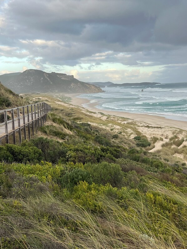Beach - The Perch at Nornalup is a peaceful slice of paradise, perfect for families. (Nornalup)