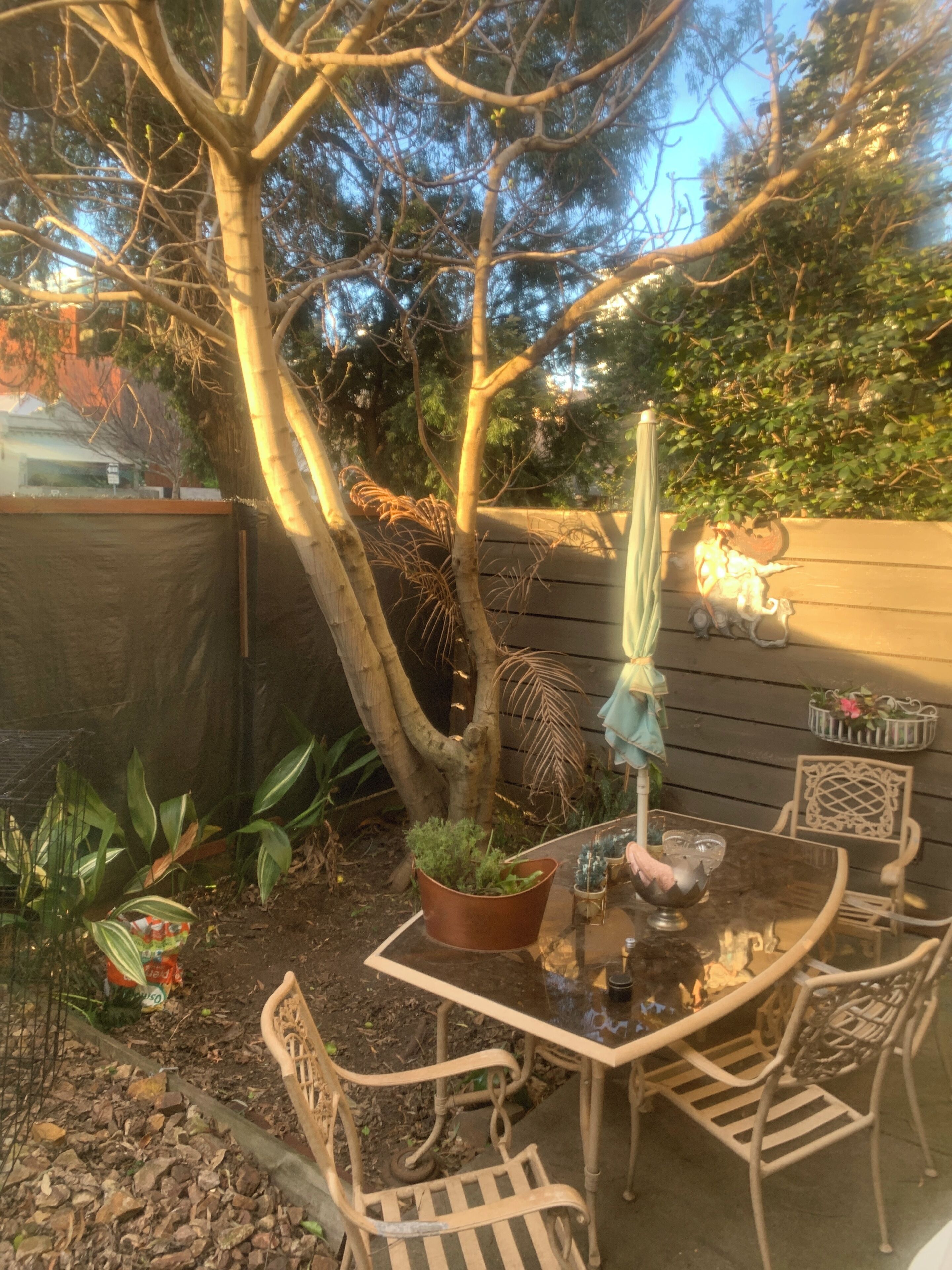 Opções para refeição ao ar livre