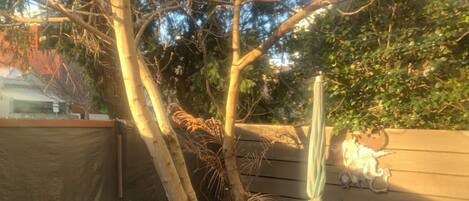 Ristorazione all'aperto