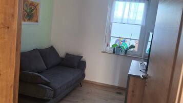 TV, DVD player, ping pong