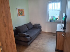Televisión, reproductor de DVD y tenis de mesa 